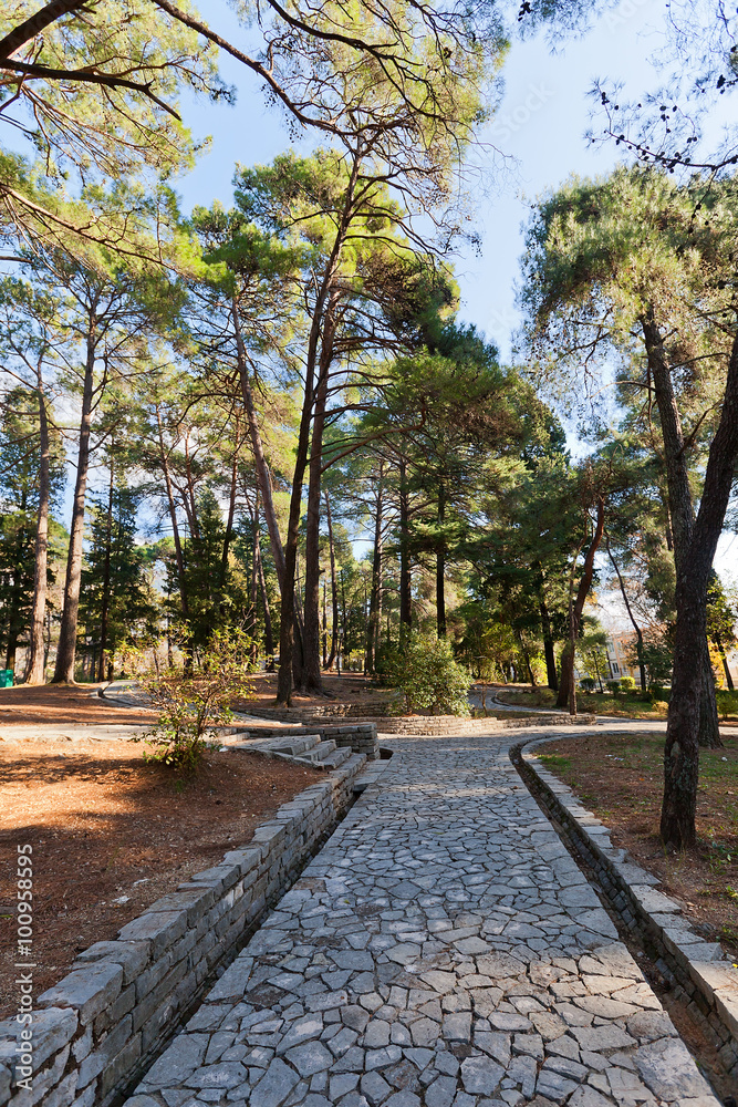 Large Town Park of Tivat, Montenegro Large Town Park of Tivat, Montenegro