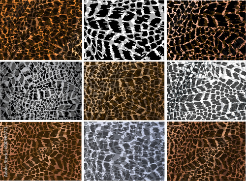 Colorful animal skin texture collection