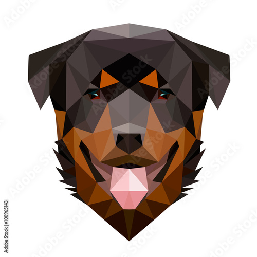 Vector low poly rottweiler dog