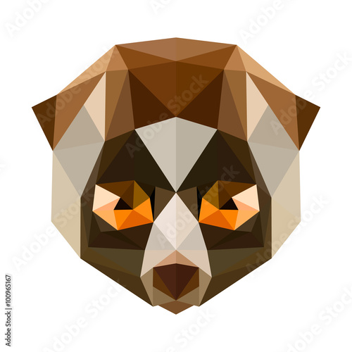 Vector low poly lori