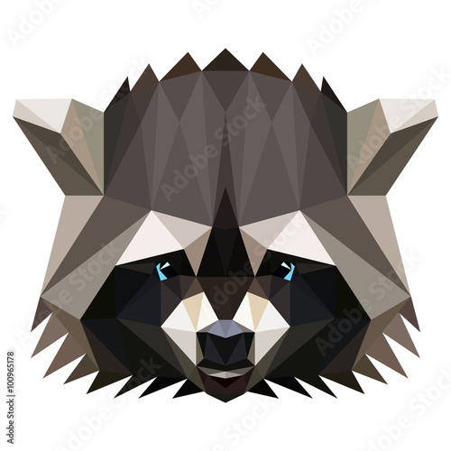 Vector low poly racoon