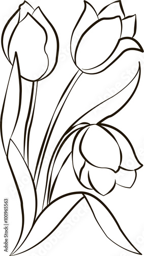 Fototapeta Naklejka Na Ścianę i Meble -  tulip vector 