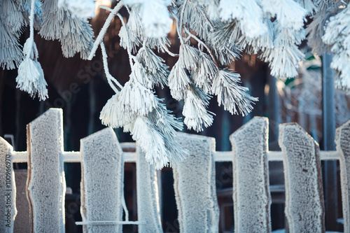 Wooden fence under frost photo