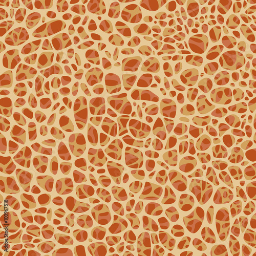 Abstract background, bone structure, vector