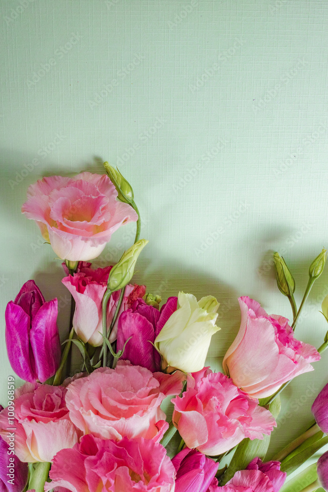 Fototapeta premium Pink flowers on light green background, postcard