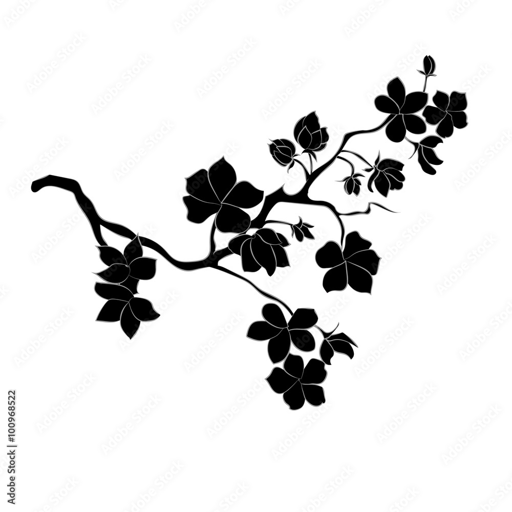 Fototapeta premium twig cherry blossoms