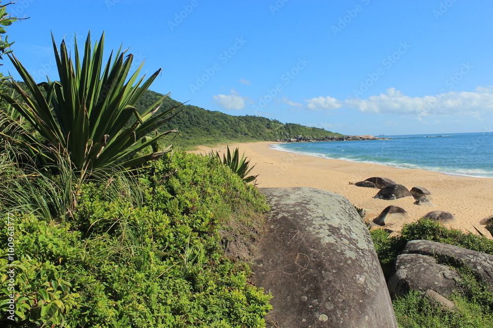 Balneario Camboriu - Brazil - View of Taquarinhas Beach
