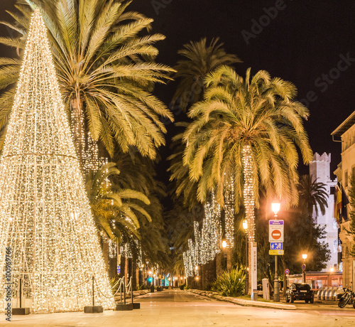 Weihnachtsstimmung Lichter Palmen Allee