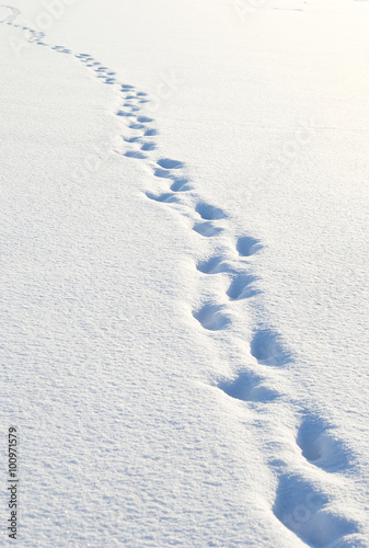 Footprints in deep snow. Winter landscape.