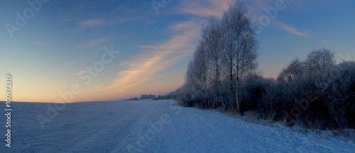 Winter fields and frozen trees