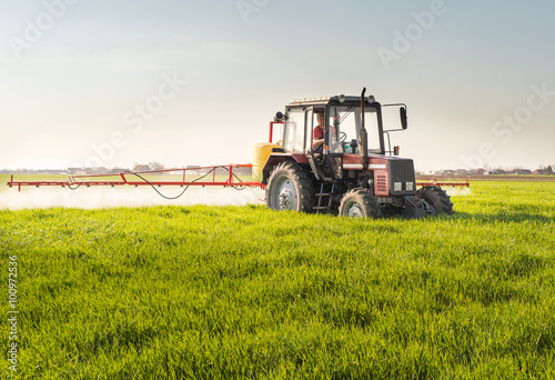 Tractor spraying wheat field