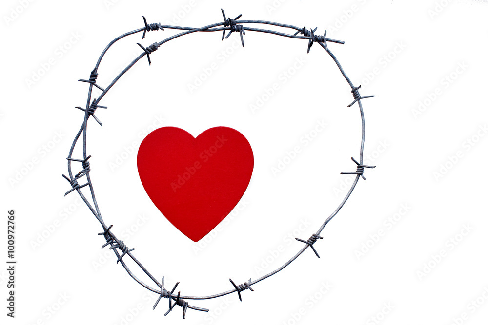 heart is surrounded by a barbed wire.red heart enclosed by rusty barbed wire. symbol of