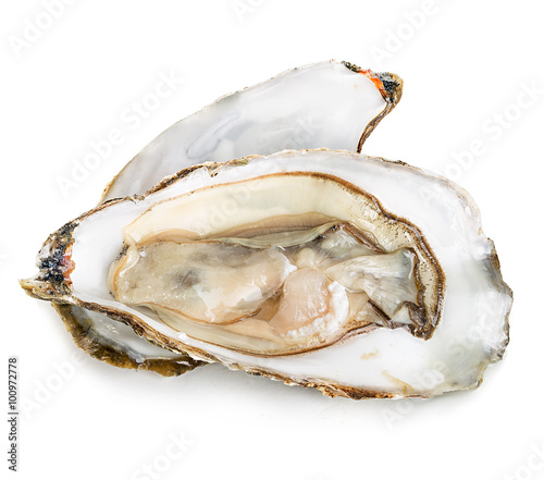 Oysters with pearls isolated on white background