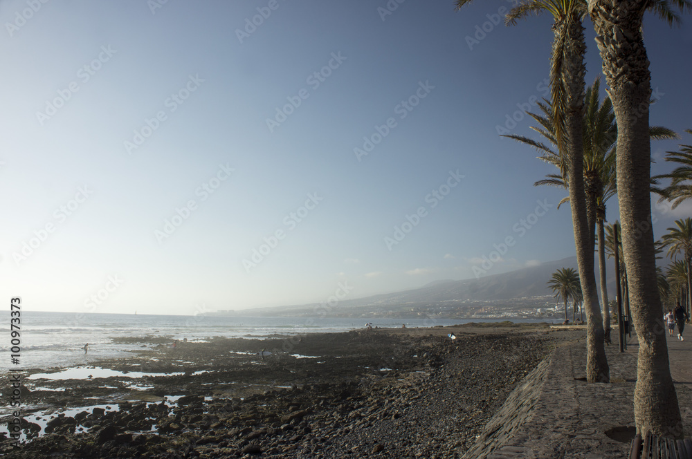 The coastline of Tenerife