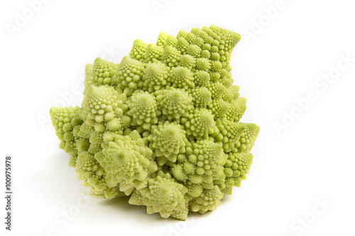 Broccoli new typ