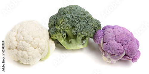 broccoli evolution