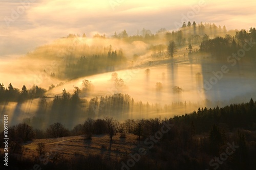 Autumn landscape with trees and fog © matkovci