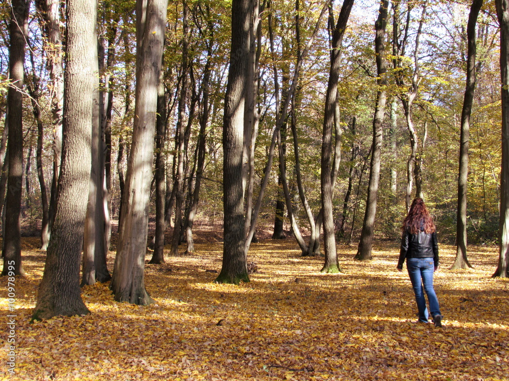 Lost in the park Lost in the park