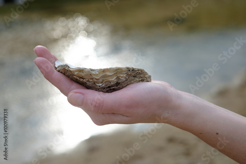 sea shell in hand girl