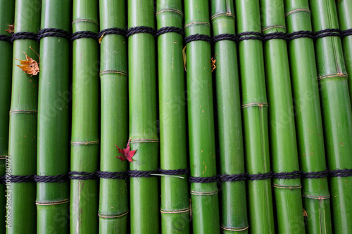 green bamboo with red maple leaf