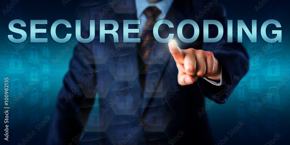 Security Professional Touching SECURE CODING Security Professional Touching SECURE CODING