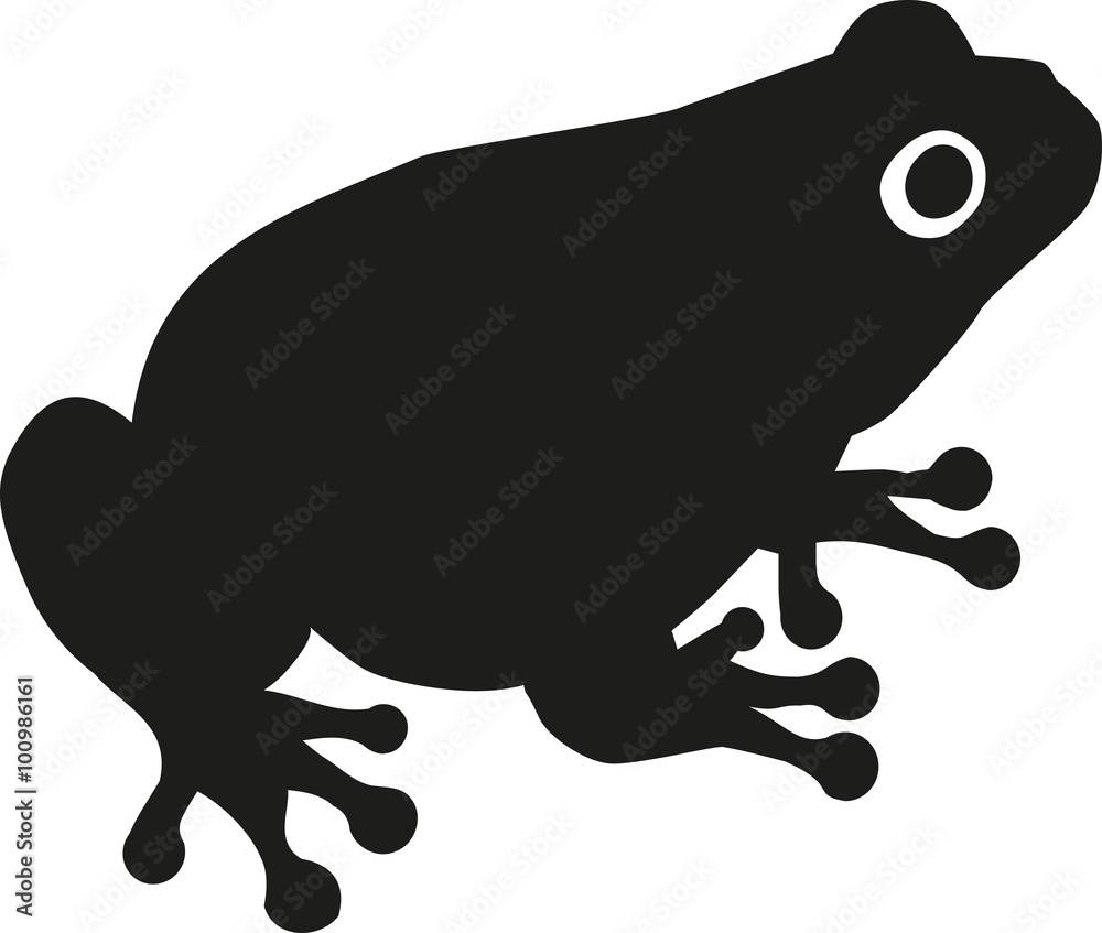 Obraz premium Toad Silhouette