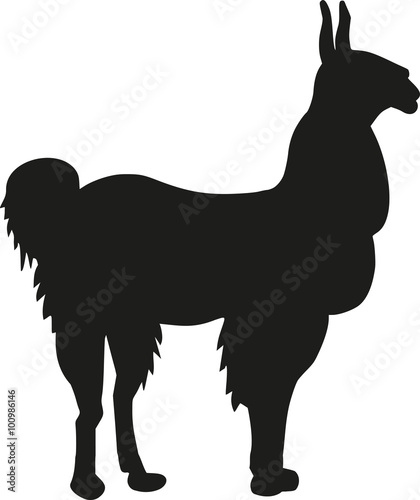 Alpaca silhouette