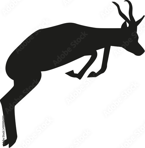 Jumping springbok