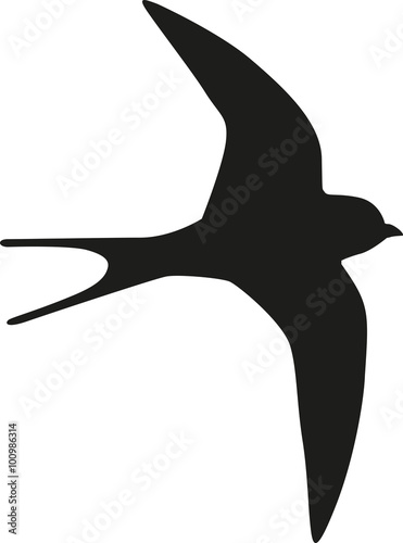 Martin bird silhouette © Miceking
