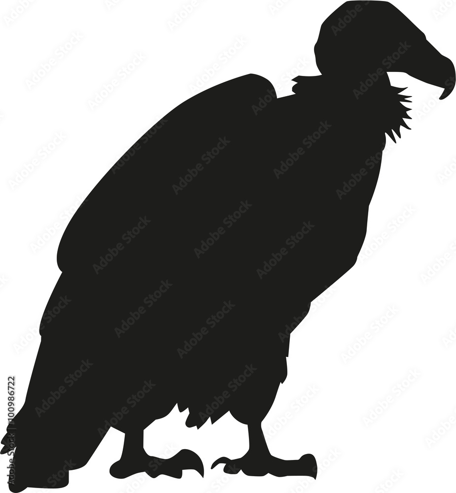 Vulture silhouette Stock Vector Adobe Stock