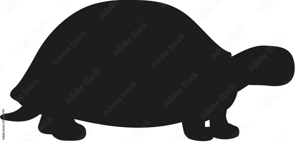 Naklejka premium Turtle silhouette