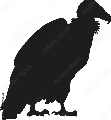 Vulture silhouette
