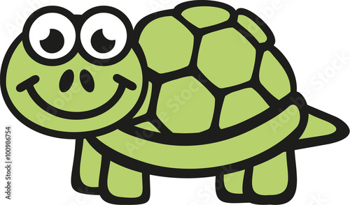 Cute turtle with big eyes