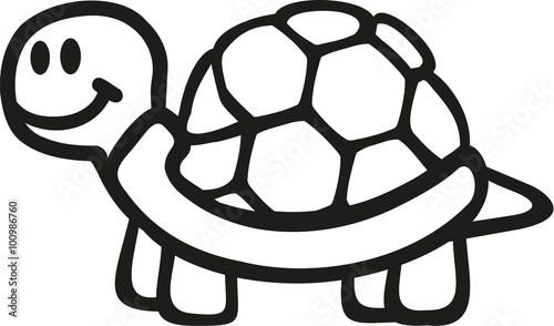 Turtle outline