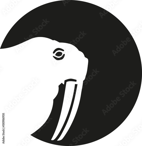 Walrus head silhouette in front of moon