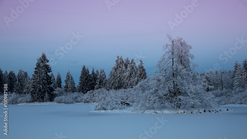 Winterstille  © Silke Koch