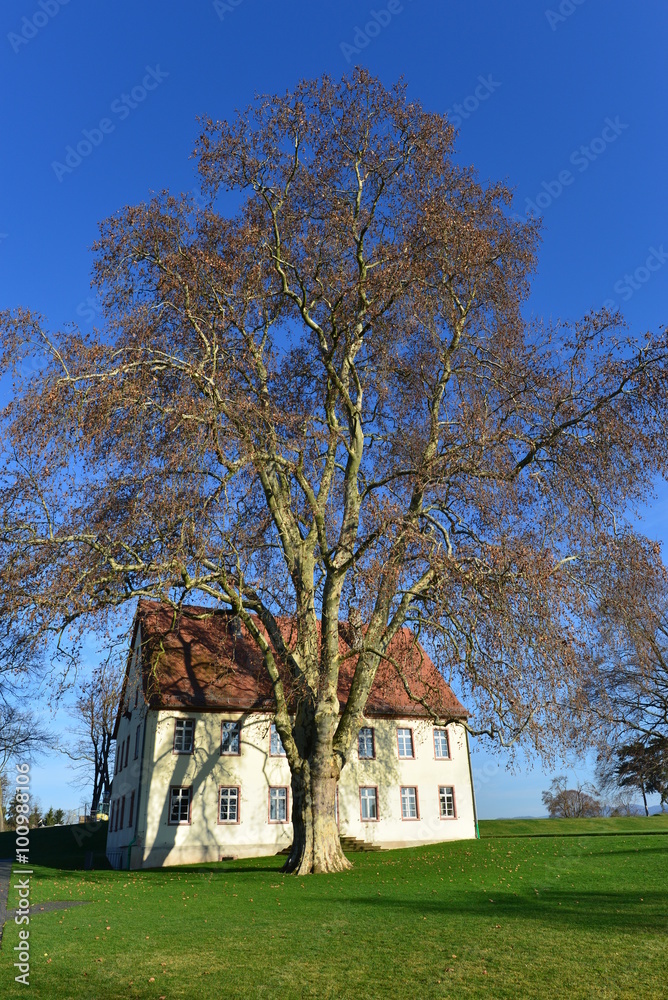 Areal Weltkulturerbe Kloster Lorsch Areal Weltkulturerbe Kloster Lorsch