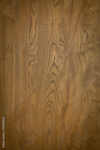 Wood Texture Elm Abstract Natural Grain Pattern for Background I