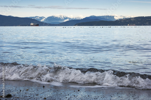 Waves and resting birds in Burrard Inlet of British Columbia