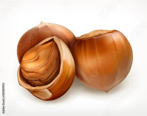 Hazelnuts in shell, vector icon