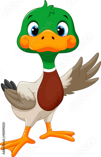 Cute baby duck waving its wings