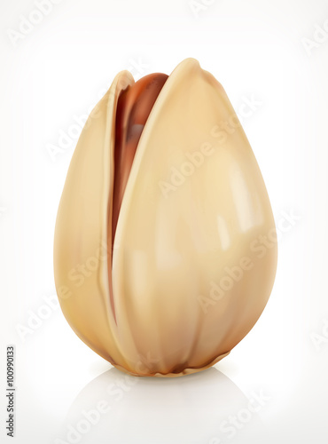 Pistachio in shell, vector icon