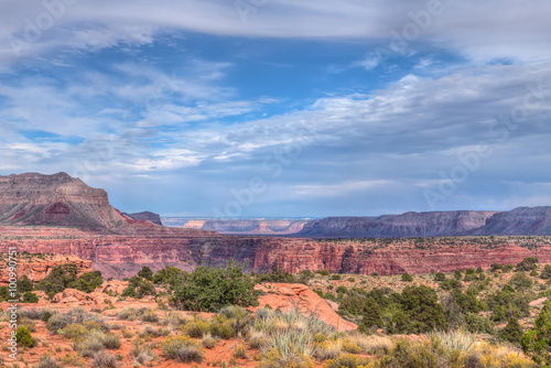 AZ-Grand Canyon National Park-North Rim-Toroweep area. This image was captured in the early morning hours.