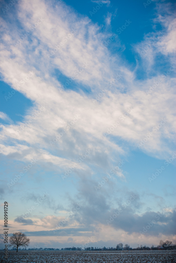 Obraz premium blue sky