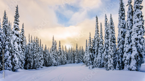 Sunset over the ski hills at Sun Peaks village with trees covered in snow in the high alpine mountains near the village of Sun Peaks in the Shuswap Highlands of central British Columbia, Canada