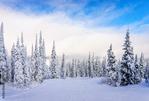 Winter landscape on the mountains with snow covered trees and ski runs on a nice winter day under beautiful skies at the village of Sun Peaks in the Shuswap Highlands of central British Columbia © hpbfotos