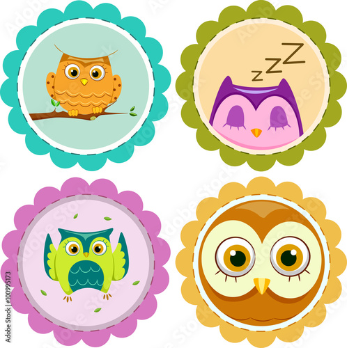 Icons Owl