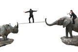 Man riding elephant against rhinoceros with another balancing ro
