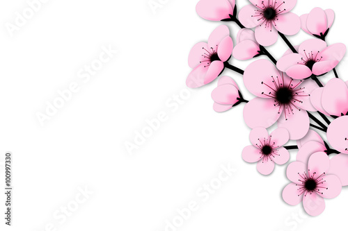 Fototapeta Naklejka Na Ścianę i Meble -  cherry blossom