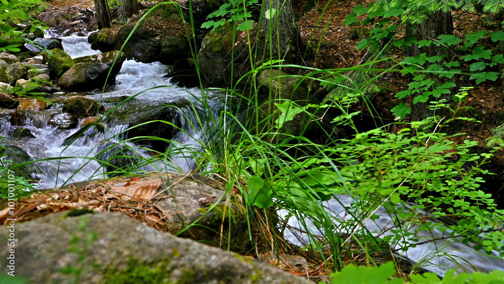 Fast flowing water of a mountain river Fast flowing water of a mountain river